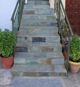 a set of stairs with plants in pots at Sergi Home in Raches