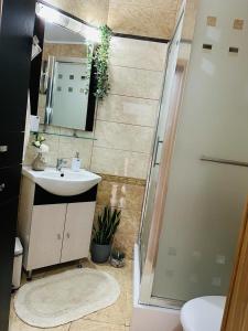 a bathroom with a sink and a shower with a mirror at Flamingo House in Reghin