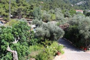 an overhead view of a garden with trees and bushes at Sergi Home in Raches
