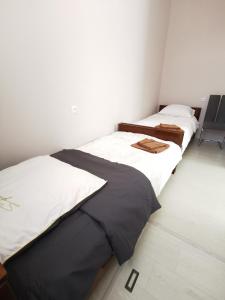 two beds sitting next to each other in a room at Hotel Elen in Gyumri