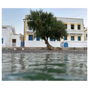 a tree in front of a building with water at Vera Mare in Agia Marina