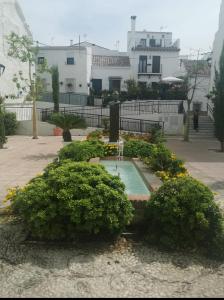 Fotografie z fotogalerie ubytování Orchid of Estepona v destinaci Estepona
