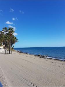 une plage de sable avec des palmiers et l'océan dans l'établissement Orchid of Estepona, à Estepona