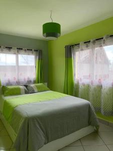 a green bedroom with a bed and two windows at Appartements Andrian Location in Antananarivo