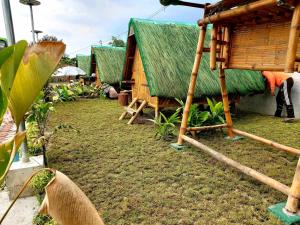 a group of huts with grass roofs andgrass at Unlimited Pax Bale Kubo-inspired Accommodation in Tarlac