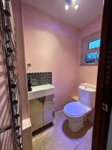 a bathroom with a toilet and a sink at Detached house in Essex in Harlow