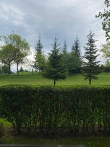 eine Hecke vor einem Feld mit Bäumen in der Unterkunft Vacation house in Pravets Hyatt Regency golf resort in Pravets