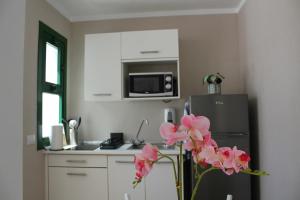 a kitchen with a refrigerator and pink flowers at Canaima 308 in Puerto Rico de Gran Canaria