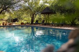 a swimming pool with chairs and an umbrella at Kelora Bush Camp in Hoedspruit