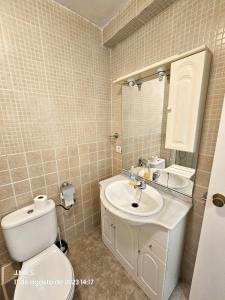 a bathroom with a toilet and a sink and a mirror at Estudio acogedor y tranquilo en zona estupenda in Fuengirola