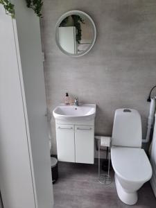 a bathroom with a toilet and a sink and a mirror at Harmony in Farhult in Farhult