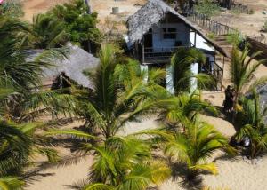 阿鲁甘湾Azeer's的棕榈树海滩上别墅的空中景致