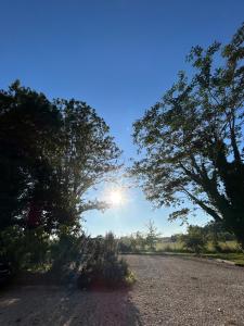 a sun shining between two trees on a gravel road at Five and You in Josse