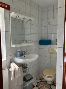 ein Bad mit einem Waschbecken und einem WC in der Unterkunft Doppelzimmer vom Friesenhof Wieratal 