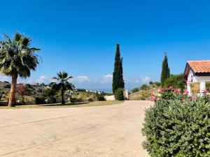 a large driveway with palm trees and a house at Beautiful Home in Paphos City