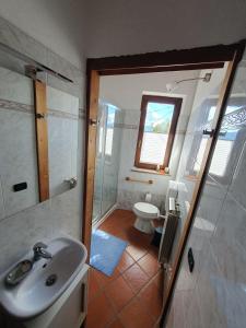 a bathroom with a shower and a sink and a toilet at Casa-Shila in Luino