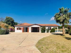 a house with a palm tree and a driveway at Beautiful Home in Paphos City