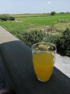 un vaso de zumo de naranja sentado en una mesa en Ferienhaus Domizil en Tarsus