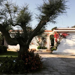 A garden outside Villa sul mare Rosa Marina