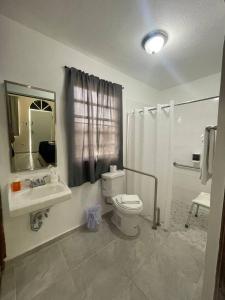 a bathroom with a toilet and a sink and a mirror at The Village Inn in Carolina