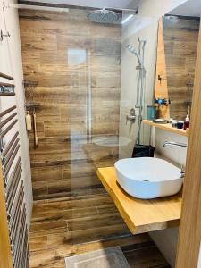 a bathroom with a sink and a shower at Family 2 bedroom Ski&Bike Apartment with Terrase in Janske Lazne