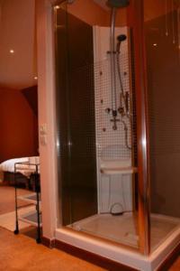 La salle de bains est pourvue d'une douche avec une porte en verre. dans l'établissement B&B Heerlijkhyd, à Hertsberge