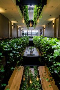 a room filled with lots of plants and lights at 4 Sur Hotel in Medellín