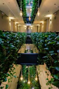 a room filled with lots of plants and lights at 4 Sur Hotel in Medellín