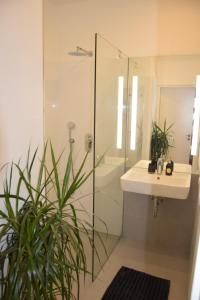 een badkamer met een glazen douche en een wastafel bij Apartment DeLuxe in Praag