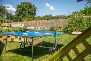 Bazén v ubytování Il Campo di Nonno Giò nebo v jeho okolí