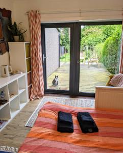 a bedroom with a bed and a dog looking out the door at Private room with terrace and free parking in Edinburgh