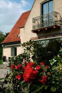 a bush with red flowers in front of a house at B&B Heerlijkhyd in Hertsberge