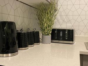 a kitchen counter with a plant in a black and white vase at Hidden in plain sight in Kent