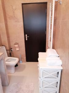 a bathroom with a toilet and a black door at Queency Apartament cu gradina și parcare gratuita in Cluj-Napoca