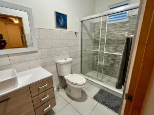 a bathroom with a toilet and a glass shower at Walk to the Beach 2Min, Cozy, Boutique, Pool, Palmeras Del Mar Isabela in Isabela