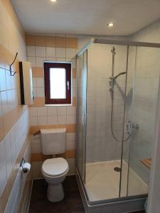a bathroom with a toilet and a glass shower at Ferienhaus, Ferienwohnung Heimathafen, zentral in Überherrn in Überherrn
