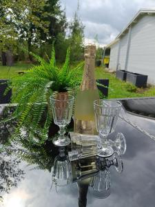 Una botella de vino y dos copas en una mesa. en Ferienhaus, Ferienwohnung Heimathafen, zentral in Überherrn, en Überherrn