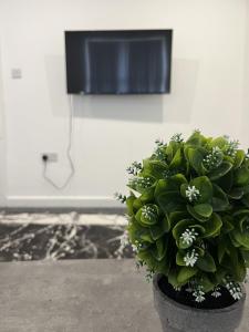 a green plant in a pot next to a wall at Deluxe En-Suite Bedroom In the Centre of Watford in Watford
