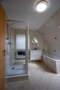 W łazience znajduje się prysznic, wanna i umywalka. w obiekcie Ferienwohnung Gartenstadt Seilerberg w mieście Freiberg