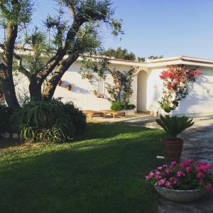 A garden outside Villa sul mare Rosa Marina