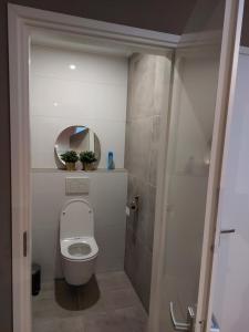 een kleine badkamer met een toilet en een spiegel bij B&Bie Ons appartement in Bad-Nieuweschans