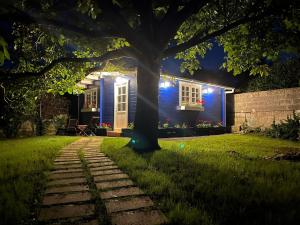 a house with a tree in the yard at night at Bajo el Nogal in Camargo +11 photos