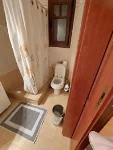een badkamer met een toilet en een douchegordijn bij Pool House Stamato in Kineta