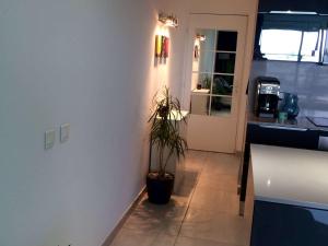 a kitchen with a potted plant in the corner at Appartement Villeneuve-Loubet, 2 pièces, 4 personnes - FR-1-252A-28 in Villeneuve-Loubet