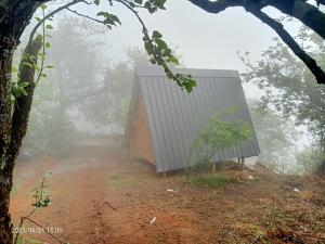 una pequeña casa en la niebla del bosque en Croods Farm Stay - Kodaikanal en Kodaikānāl