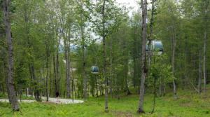 Paesaggio naturale nelle vicinanze dell'appartamento