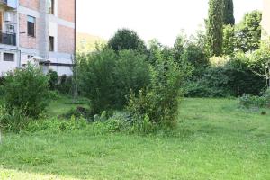 Zahrada ubytování Villa Mehari
