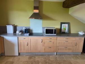a kitchen with a counter top with a microwave at Maison de charme en pleine nature in Saint-Germain-des-Grois +16 photos