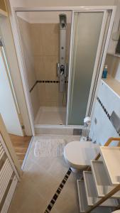 a bathroom with a shower with a toilet and a sink at DOWNTOWN Fiume, underground Garage within the property in Rijeka