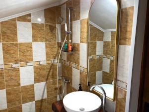 a bathroom with a sink and a shower at Chalet Husky-Private, Cozy, Firelit Moments in Şotrile +67 photos